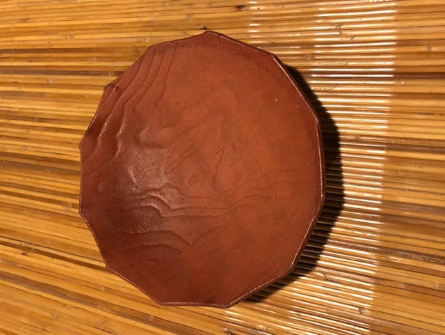 dish1