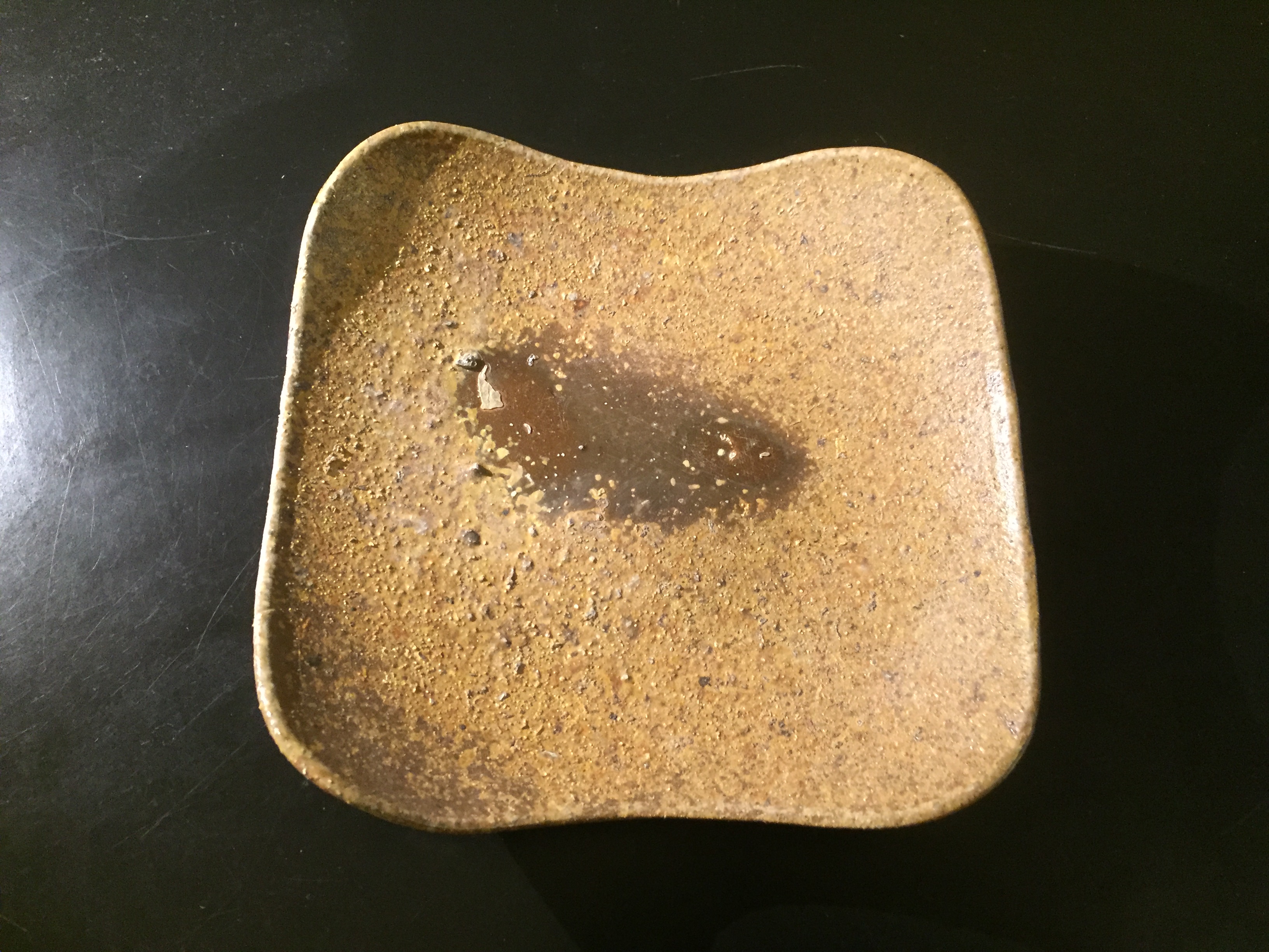 dish2